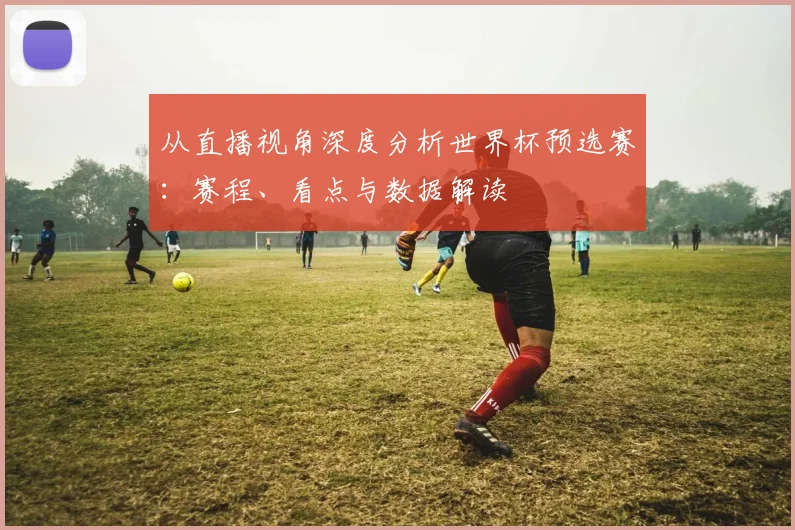 从直播视角深度分析世界杯预选赛：赛程、看点与数据解读