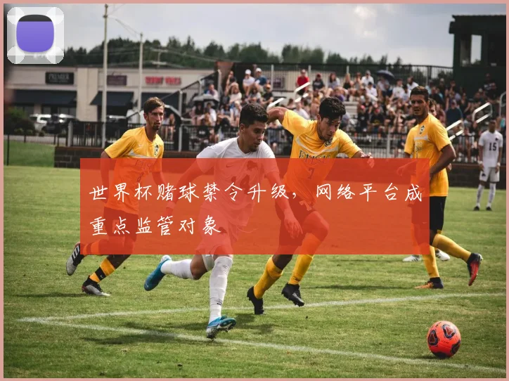 世界杯赌球禁令升级,网络平台成重点监管对象