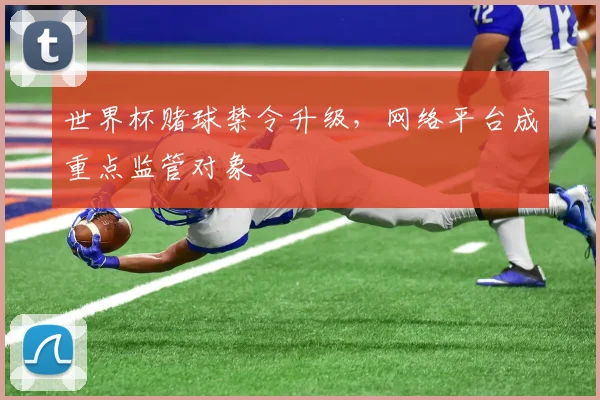 世界杯赌球禁令升级，网络平台成重点监管对象