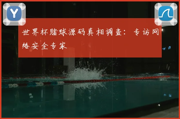 世界杯赌球源码真相调查:专访网络安全专家