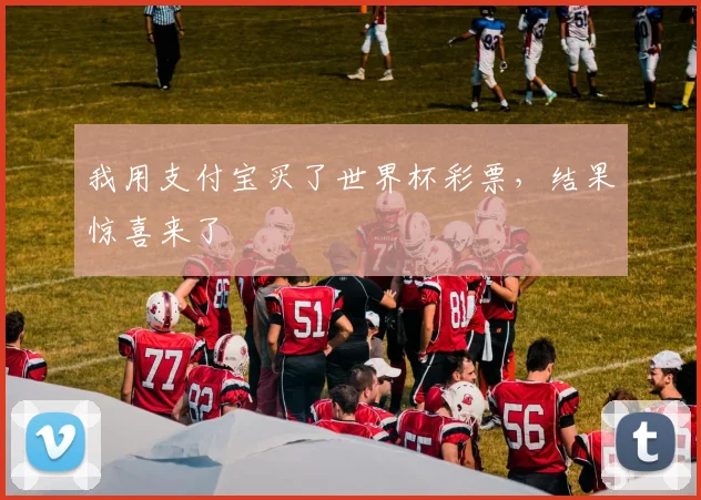 我用支付宝买了世界杯彩票，结果惊喜来了